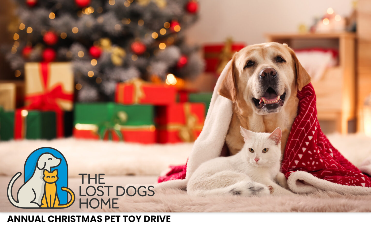 Lost Dogs Home Pet Toy Drive